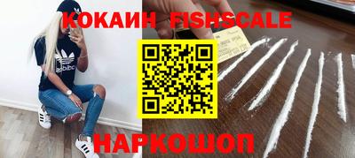 индика Гусев