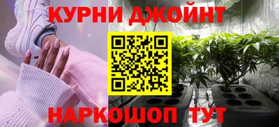 индика Гусев