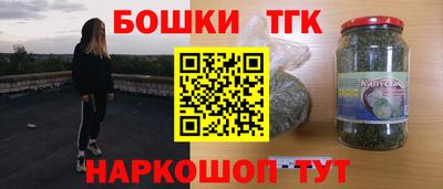 индика Гусев