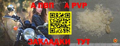 индика Гусев
