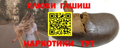 индика Гусев