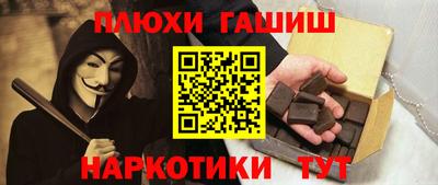 индика Гусев