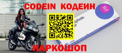 индика Гусев
