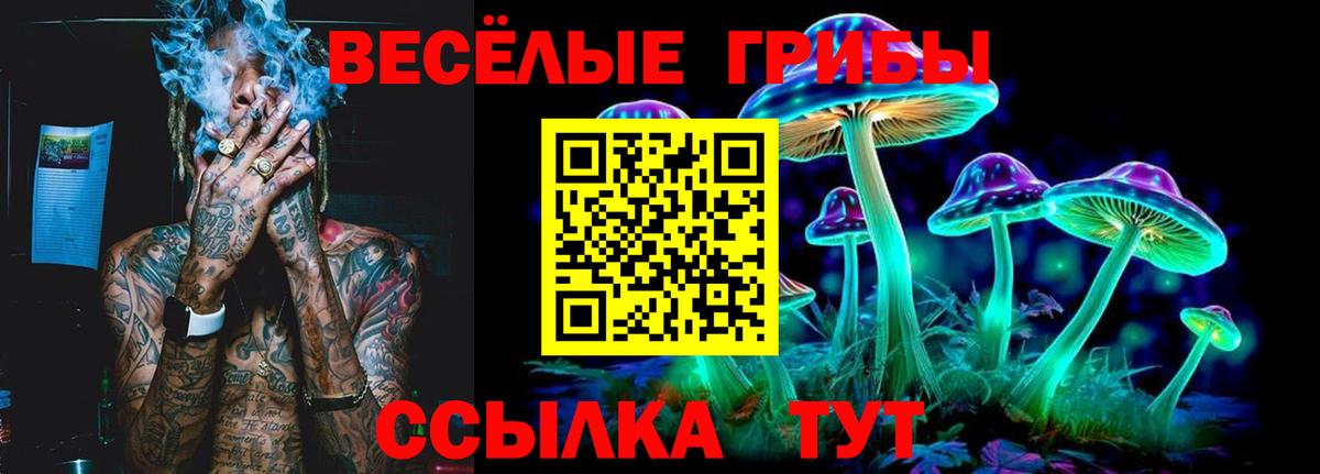 Галлюциногенные грибы GOLDEN TEACHER Майкоп