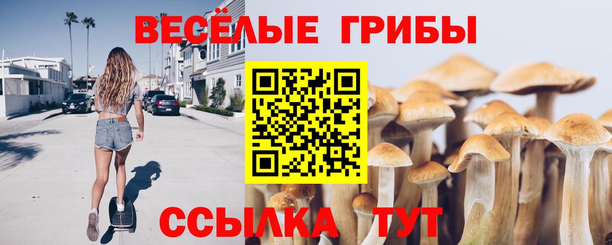 Майкоп  Галлюциногенные грибы Cubensis  Вход с VPN 