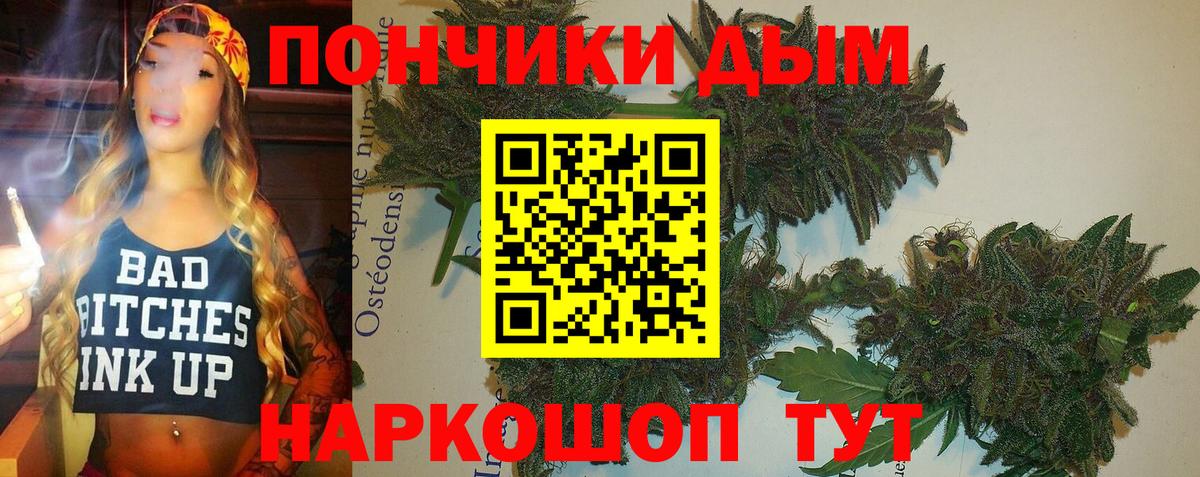 Шишки марихуана тримм Майкоп